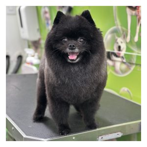 2 Services (Hair Cut)